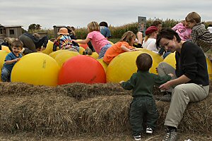 bouncy balls