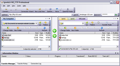 Ipswitch WS_FTP uploading to website