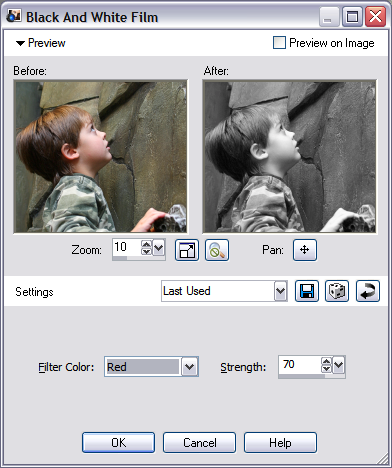 Paint Shop Pro Photo XI Black and White Film Photo Effect - filter options dialog box