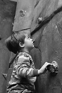 Paint Shop Pro Photo XI Greyscale