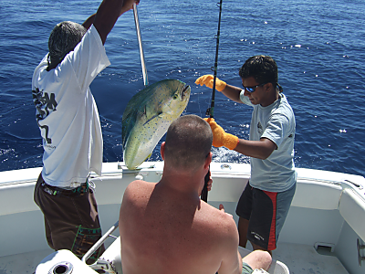 Dorado, Fishing out of Tamarindo, Costa Rica