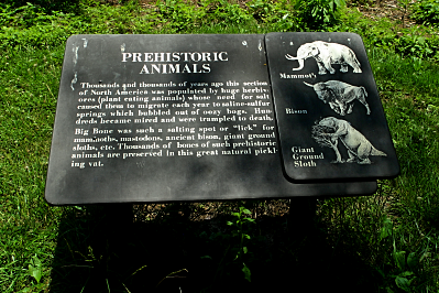 Big Bones Lick, Plaque