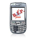 java dead palm