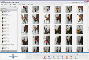 picasa-screenshot picas screenshot